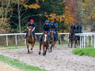 BP011124-40 - Ben Pauling Stable Visit